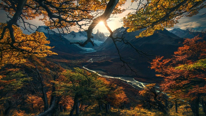 高清山林树林