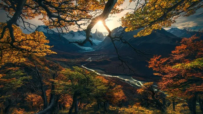 高清山林树林