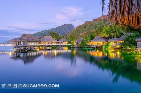 海岛绿色植物风景图片