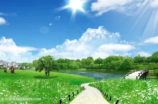 唯美草丛美景韩式自然背景