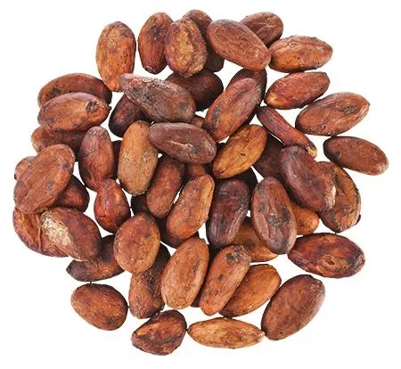 可可豆 PNG免抠(450x414)