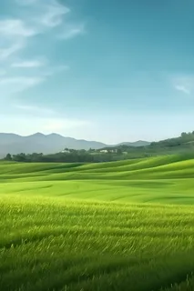 春天清新草地田园背景