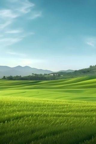 春天清新草地田园背景