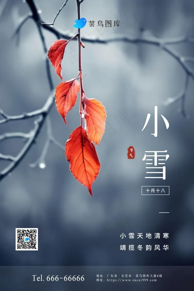 小雪冻枝叶子淡雅简约节气海报(2362x3543)psd模版下载
