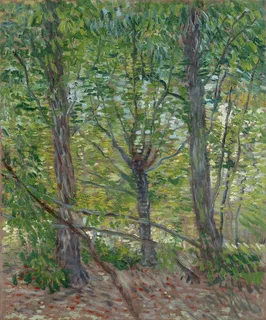 梵高风景油画作品 梵高风景油画作品