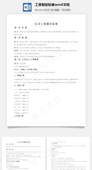 工资制定标准word文档