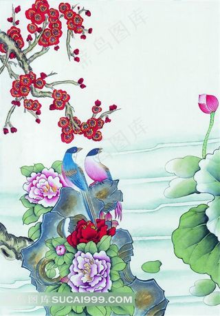 创意花鸟艺术图片