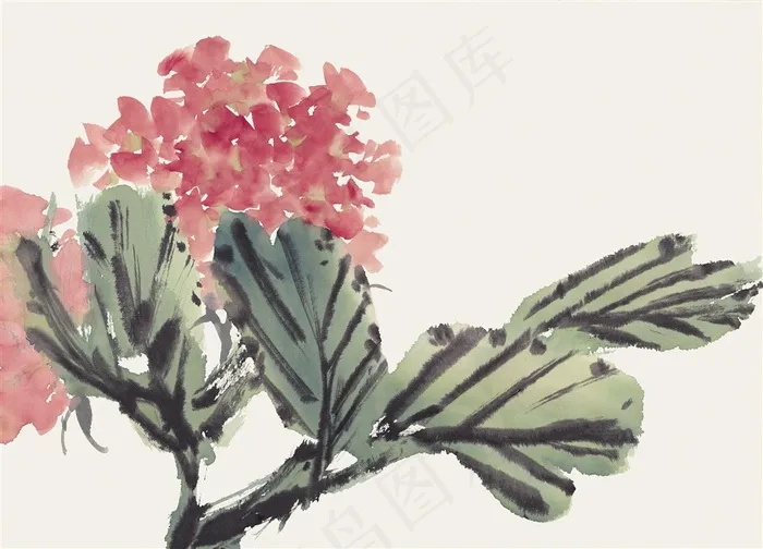 写意花卉临摹图片素材
