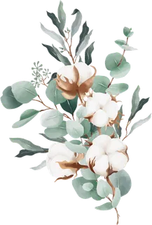 棉花手绘素材免扣装饰