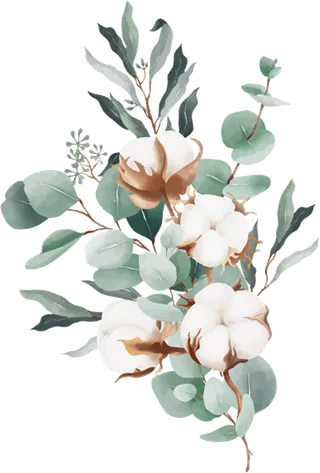 棉花手绘素材免扣装饰