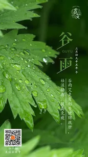 谷雨节气海报二十四节气