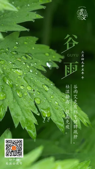 谷雨节气海报二十四节气
