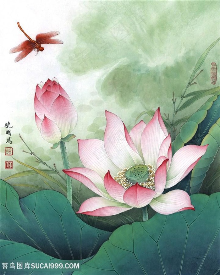 李晓明荷花与蜻蜓国画图片