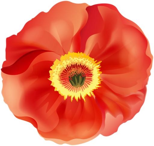 罂粟花 PNG免抠(600x570)