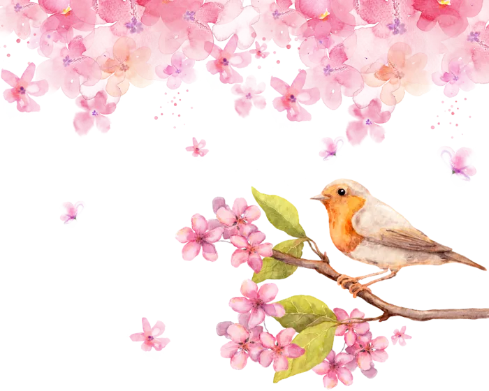 粉色简约风手绘鲜花花朵水墨画PNG素材图片 (62)