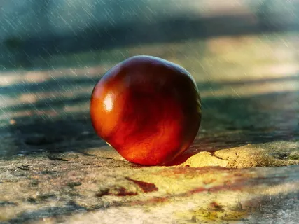 高清板栗图片 高清板栗图片