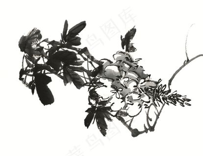 花卉艺术绘画美图素材