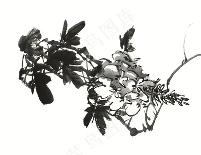 花卉艺术绘画美图素材