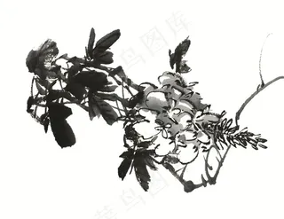 花卉艺术绘画美图素材