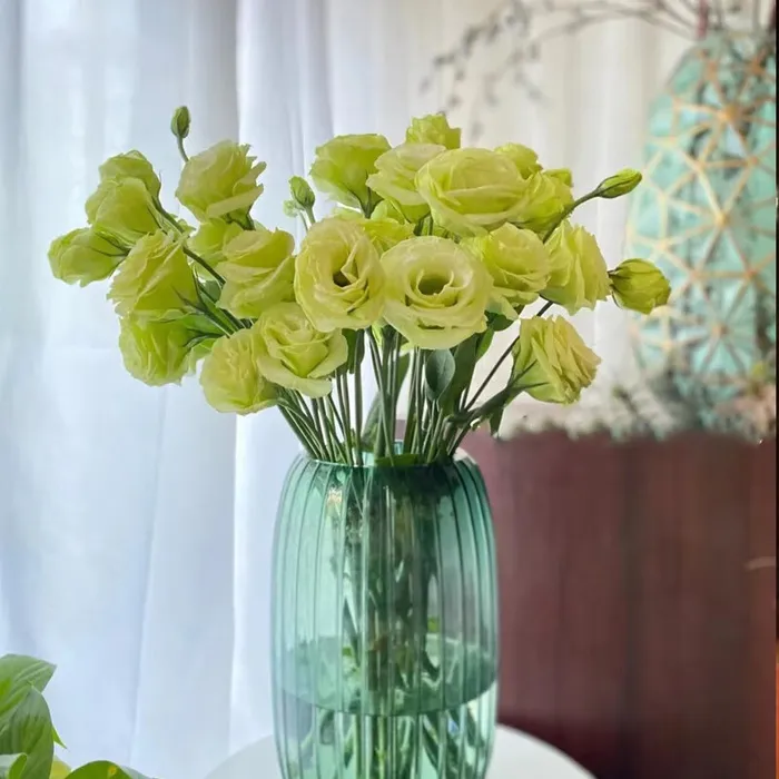 绿色简约风玫瑰摄影特写图片