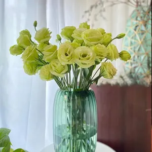 绿色简约风玫瑰摄影特写图片