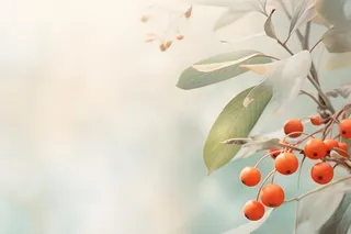 淡雅枝叶红果背景