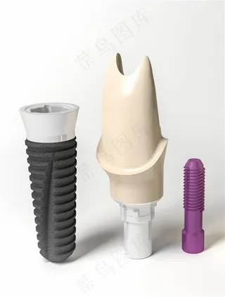 牙齿塑料模型高清图片素材