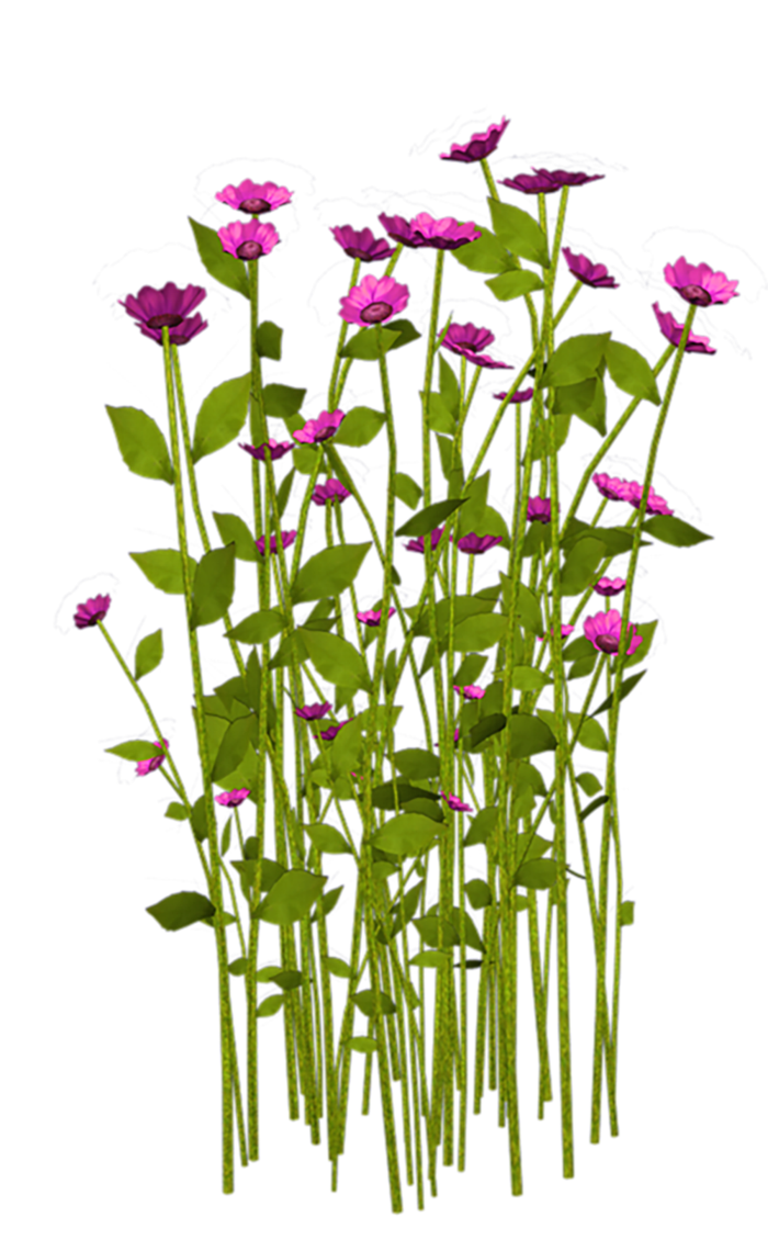 植物 素材 png 免扣 多朵花花