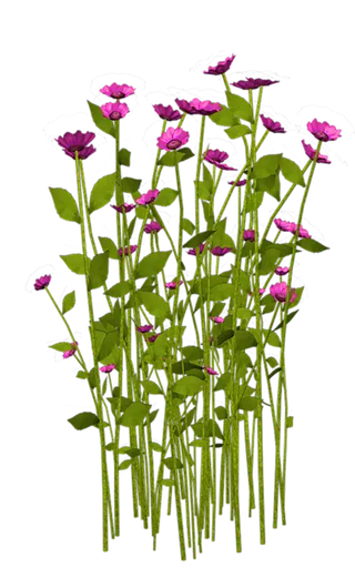 植物 素材 png 免扣 多朵花花