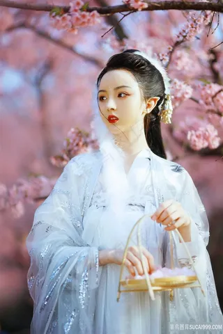 桃花族*古装美女摄影图片高清