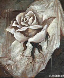 唯美玫瑰花复古插画