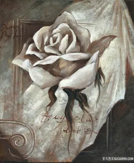唯美玫瑰花复古插画 唯美玫瑰花复古插画