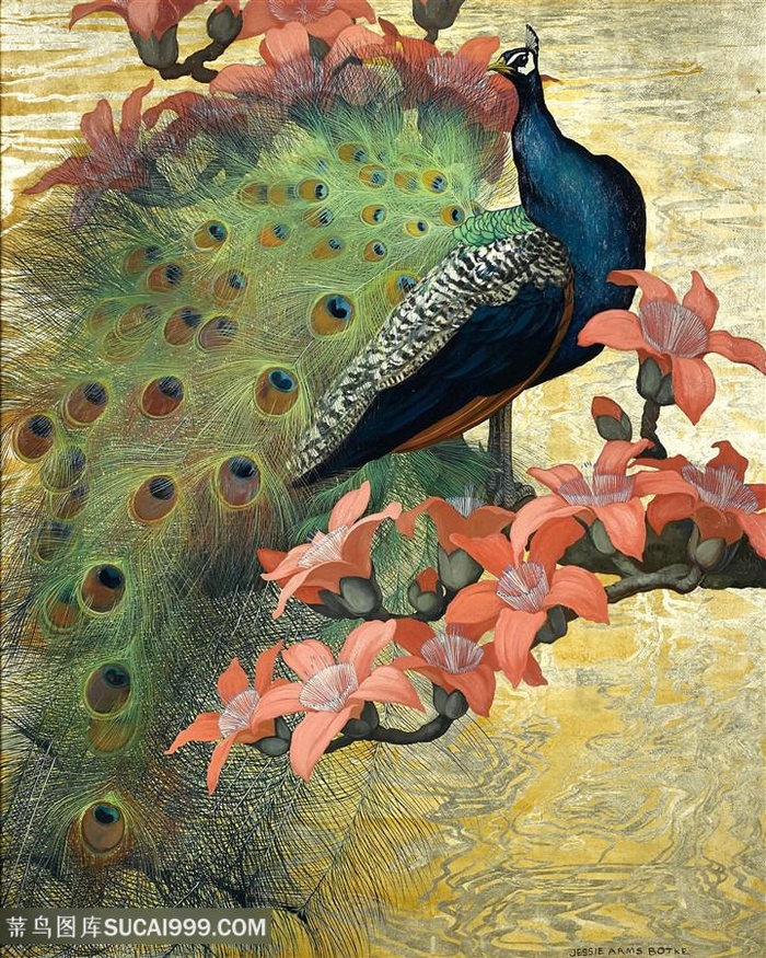 孔雀花鸟国画装饰画图片素材