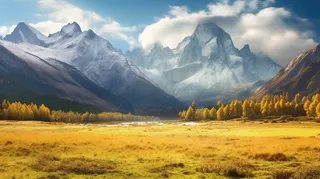 秋季高原黄色草坪森林雪山摄影图