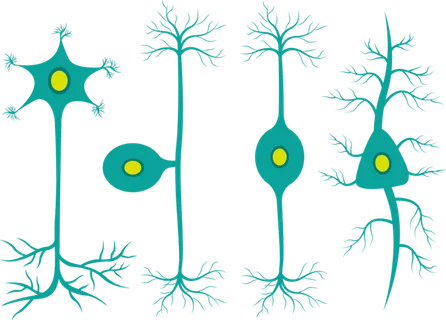 绿色细胞组织卡通