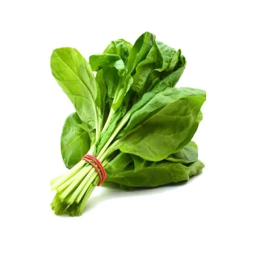 菠菜免抠(600x600)