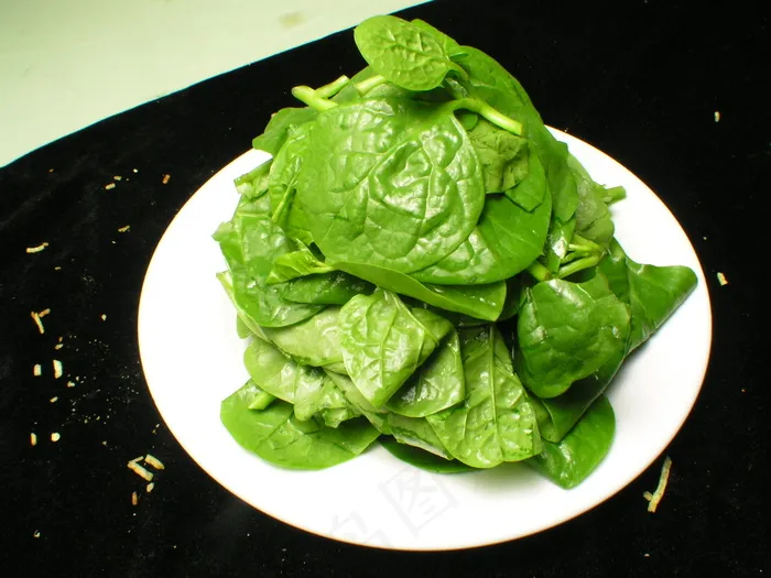  木耳菜  