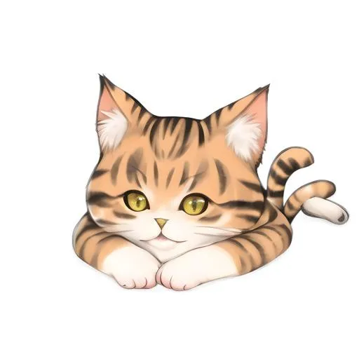 猫咪动物免抠(2048x2048)