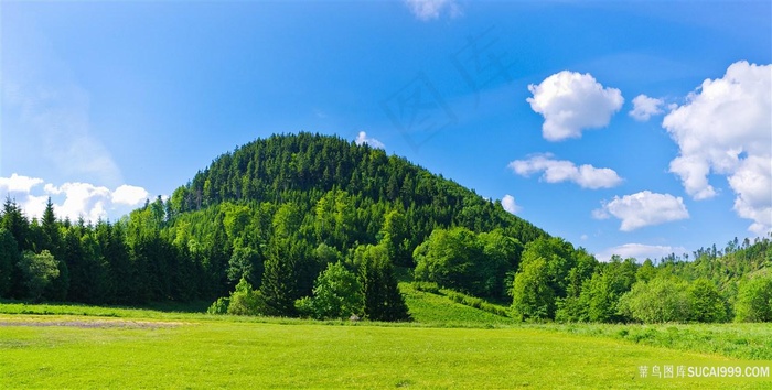 青山绿草风景图片