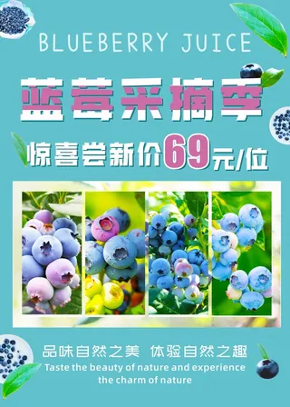蓝莓采摘海报