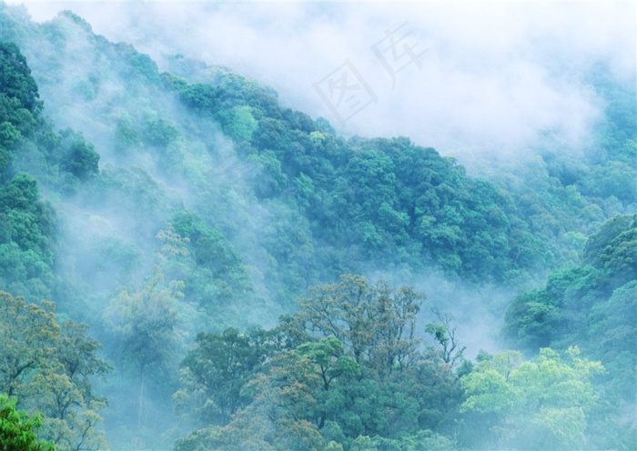 森林风景阳光jpg素材