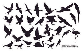 分析图素材图标集合景观建筑立面插画场景AI矢量图形设计