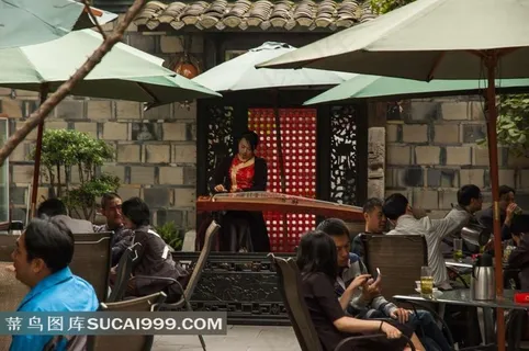 为户外餐吧中休闲娱乐的人们弹奏古筝的女子