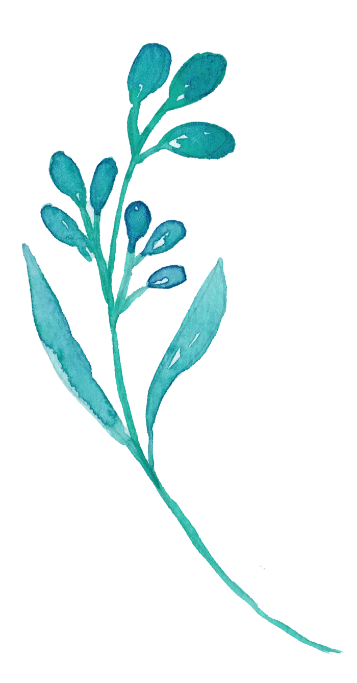 唯美森系手绘水彩花朵 免抠