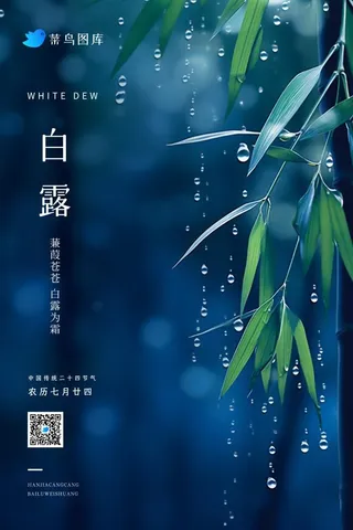 白露蓝色雨滴竹叶意境夜晚节气海报