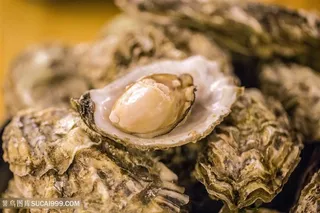 海鲜水产特色生蚝