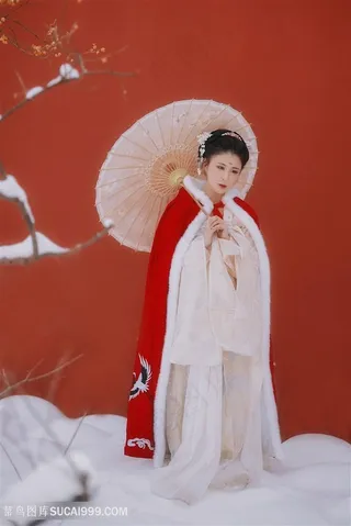 雪天城墙下古装美女图片