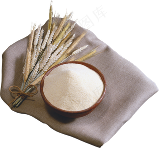 免抠农家小麦实物摄影