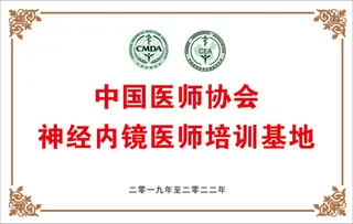医师协会中国医师协会内镜学分会logo图标医学铜牌