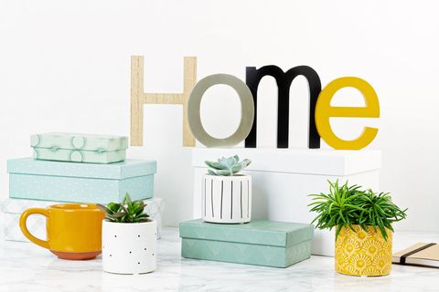 北欧简约绿植盆栽场景(14) 北欧简约绿植盆栽场景(14)